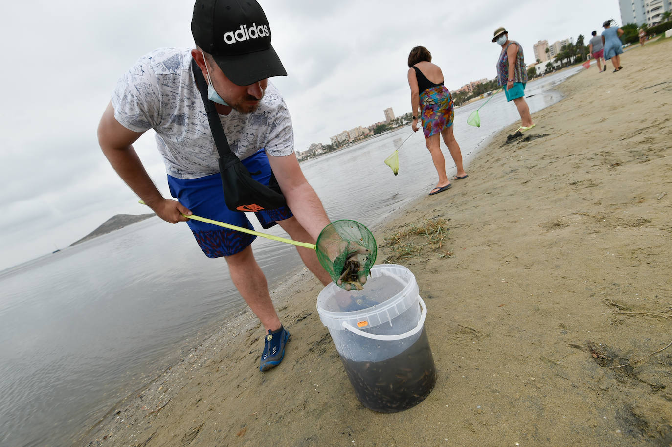 Fotos: Nuevo cierre de playas al cumplirse una semana con peces muertos en el Mar Menor