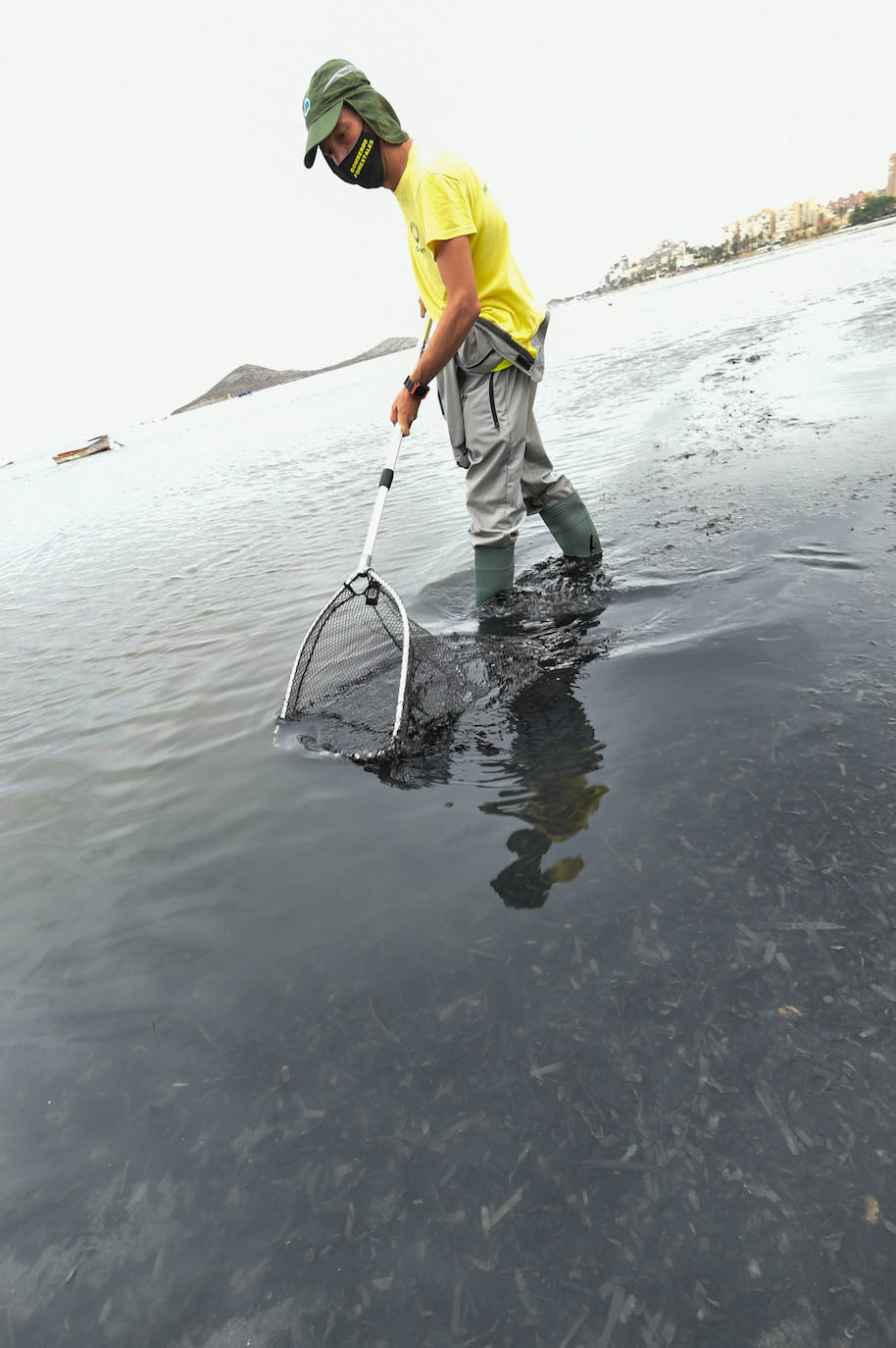 Fotos: Nuevo cierre de playas al cumplirse una semana con peces muertos en el Mar Menor