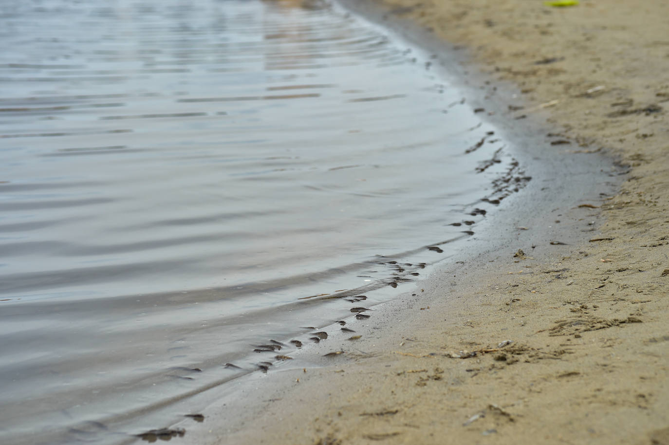 Fotos: Nuevo cierre de playas al cumplirse una semana con peces muertos en el Mar Menor