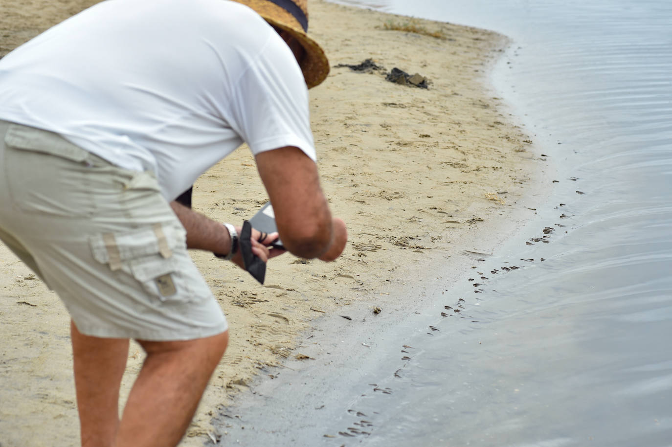 Fotos: Nuevo cierre de playas al cumplirse una semana con peces muertos en el Mar Menor