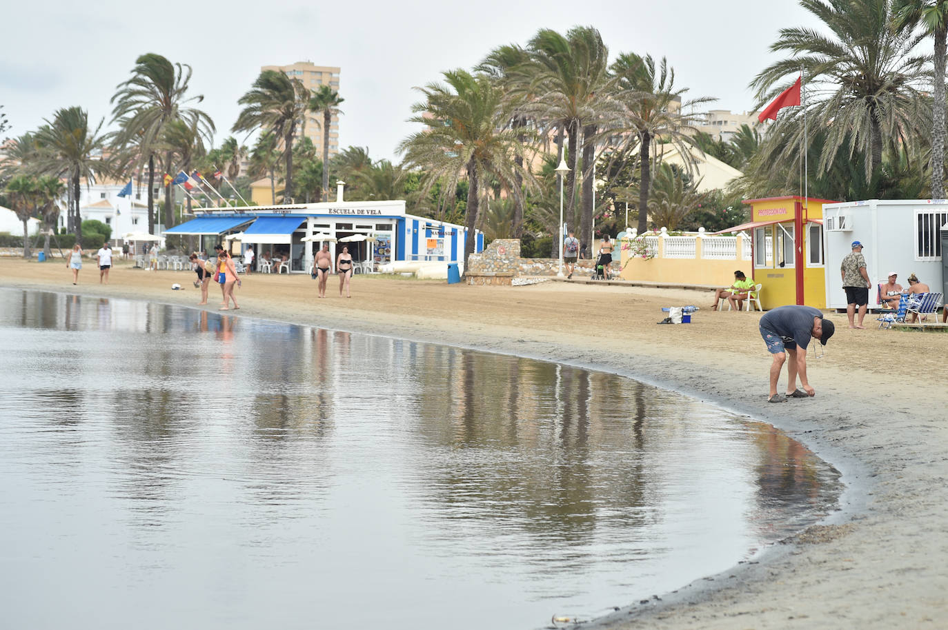 Fotos: Nuevo cierre de playas al cumplirse una semana con peces muertos en el Mar Menor