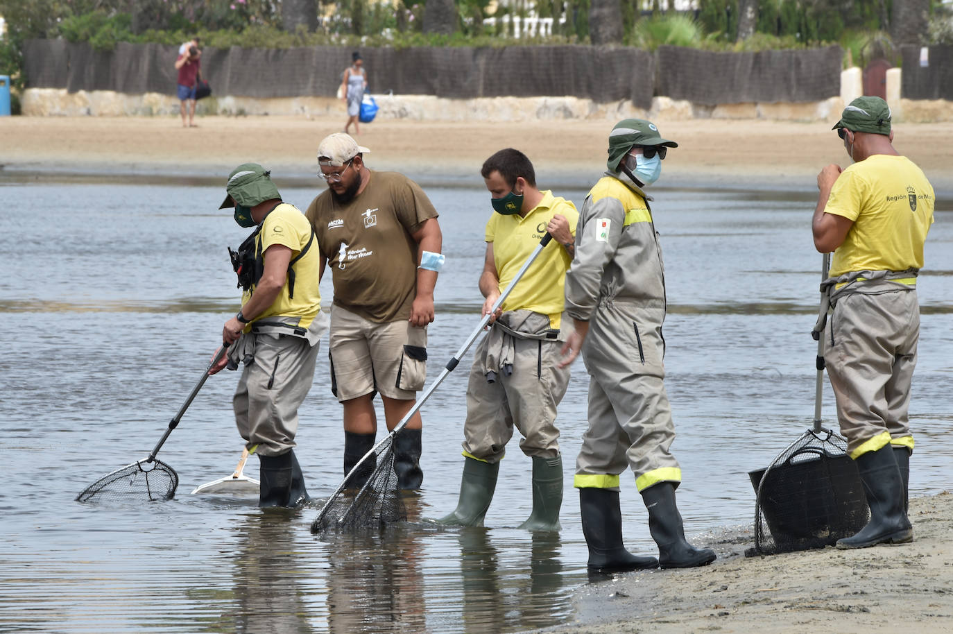 Fotos: Nuevo cierre de playas al cumplirse una semana con peces muertos en el Mar Menor