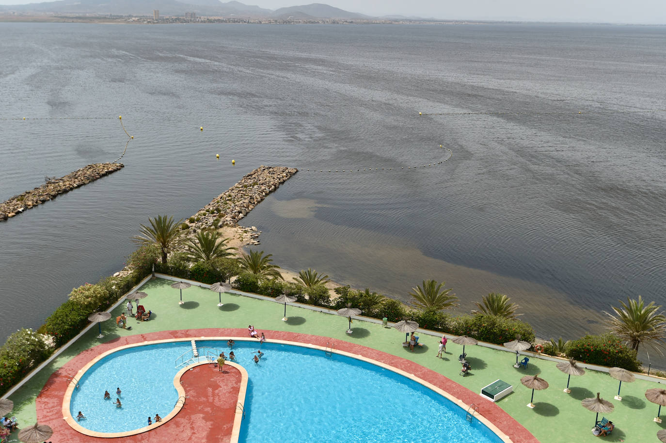 Fotos: Nuevo cierre de playas al cumplirse una semana con peces muertos en el Mar Menor