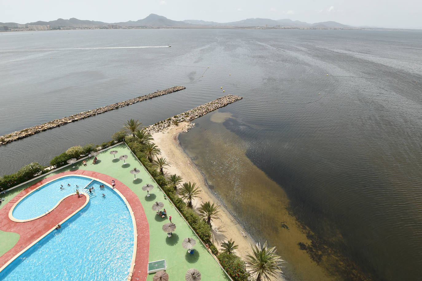 Fotos: Nuevo cierre de playas al cumplirse una semana con peces muertos en el Mar Menor