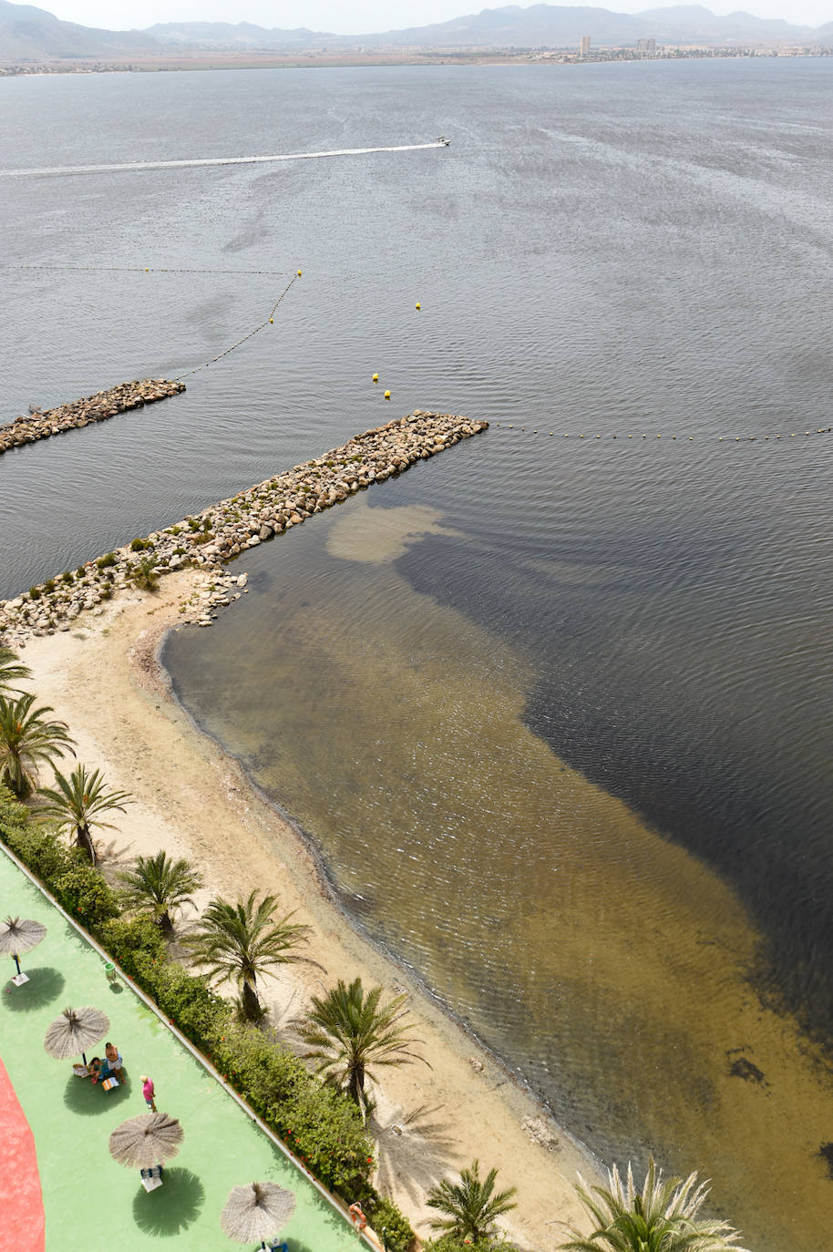 Fotos: Nuevo cierre de playas al cumplirse una semana con peces muertos en el Mar Menor