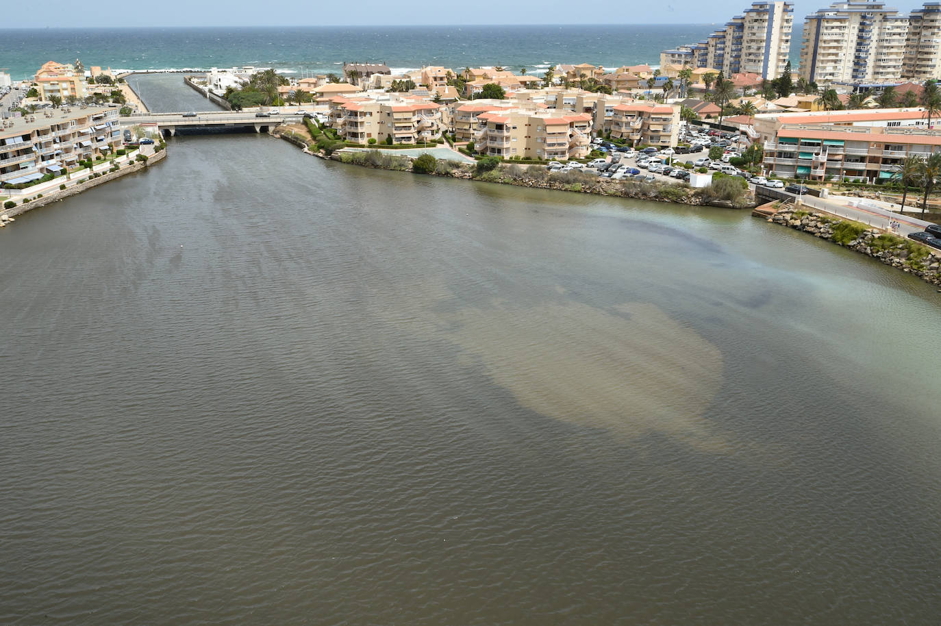 Fotos: Nuevo cierre de playas al cumplirse una semana con peces muertos en el Mar Menor