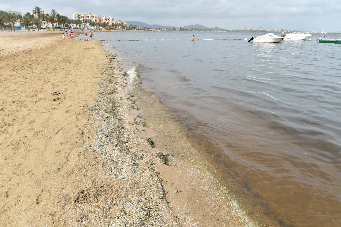 Fotos: Nuevo cierre de playas al cumplirse una semana con peces muertos en el Mar Menor