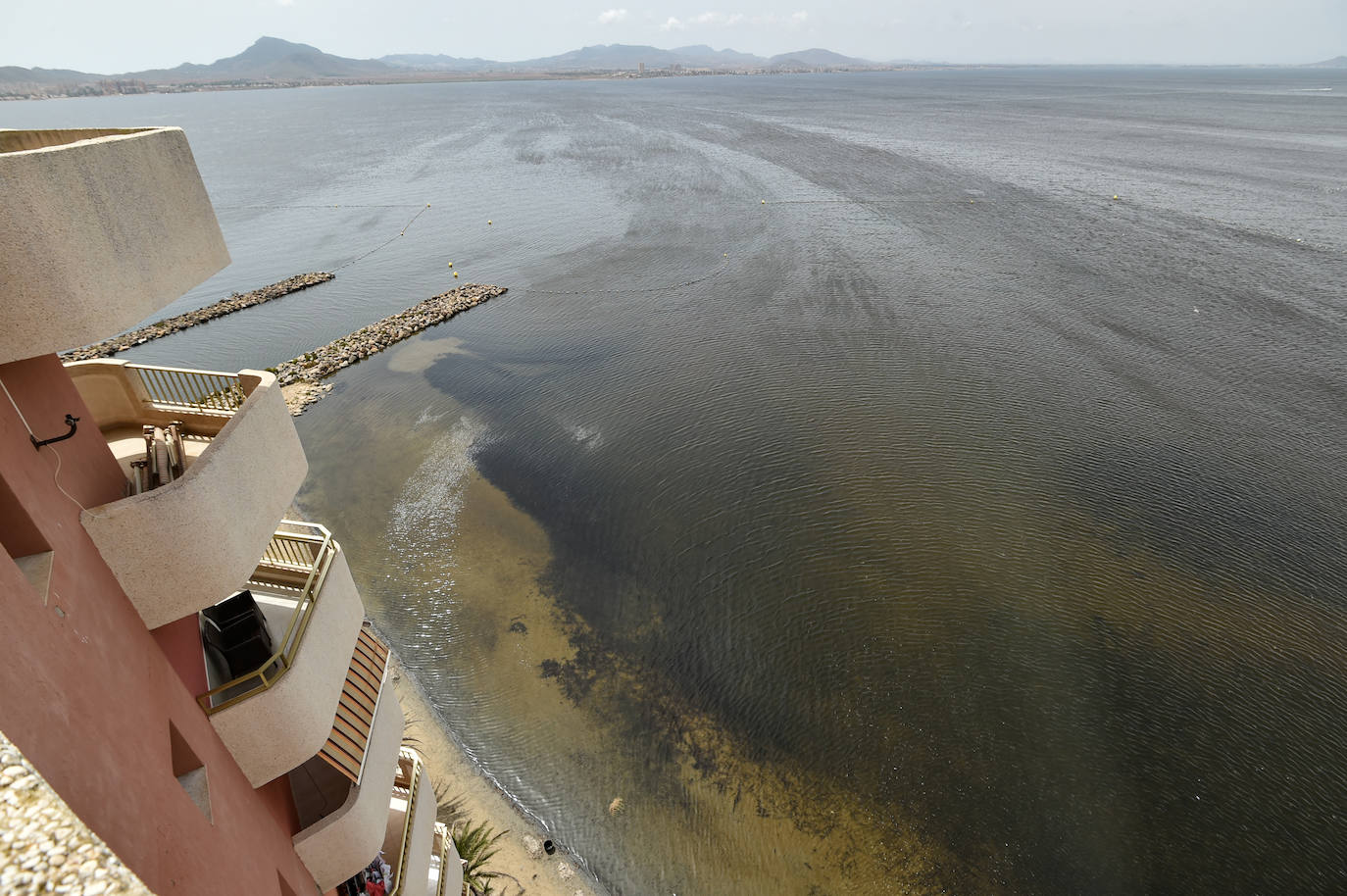 Fotos: Nuevo cierre de playas al cumplirse una semana con peces muertos en el Mar Menor