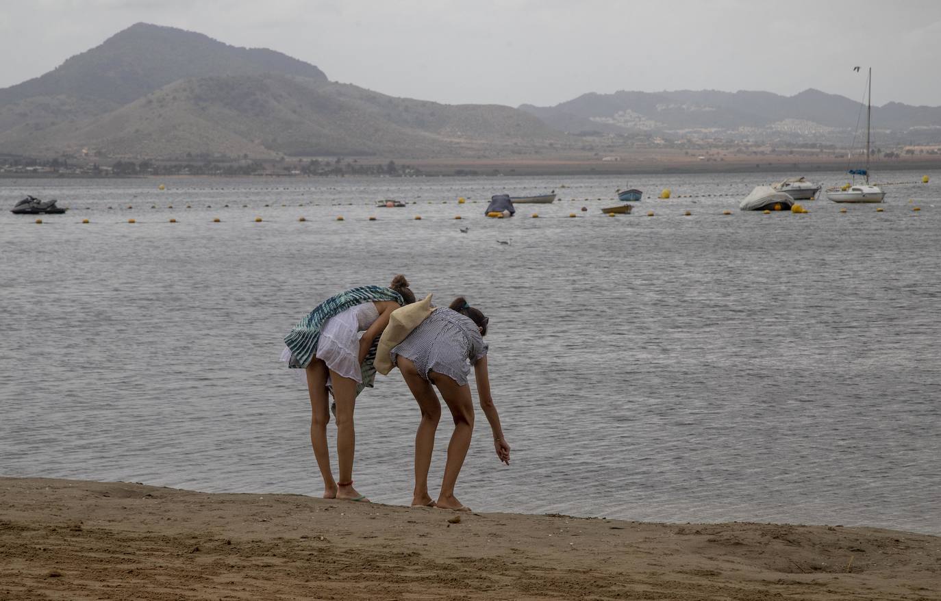 Fotos: La semana empieza con más peces muertos en el Mar Menor, hoy en la zona norte de La Manga