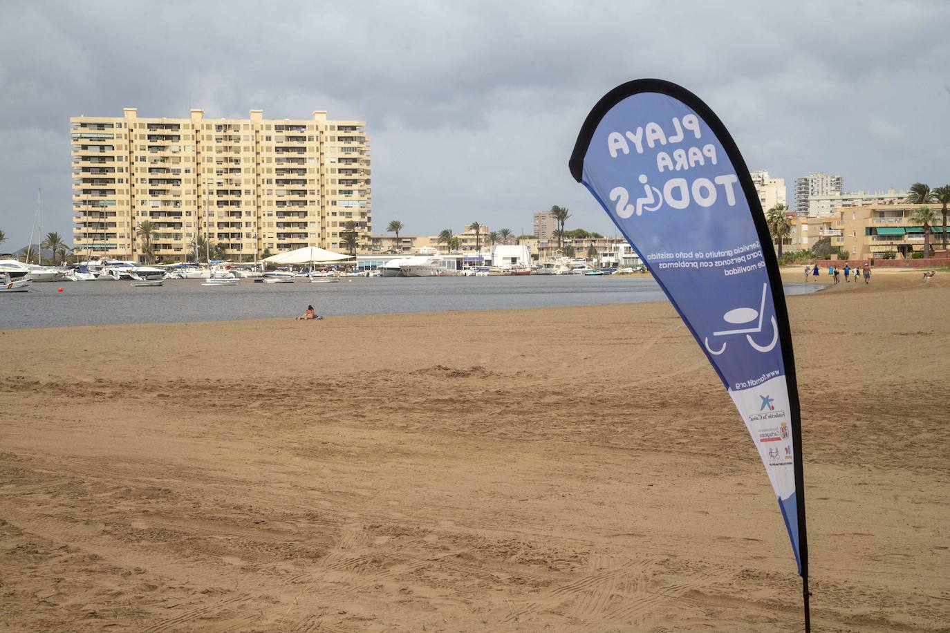 Fotos: La semana empieza con más peces muertos en el Mar Menor, hoy en la zona norte de La Manga