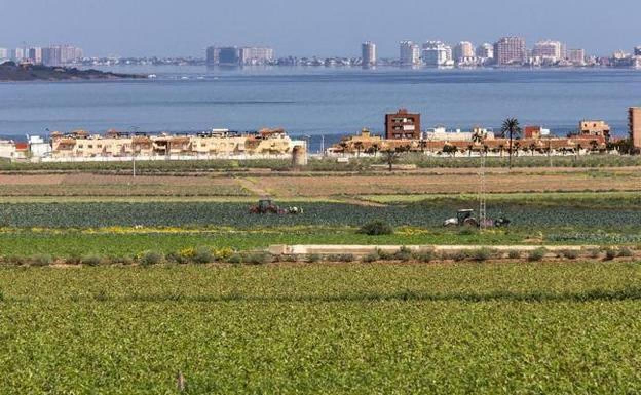 Cultivos junto al Mar Menor en una imagen de archivo. 