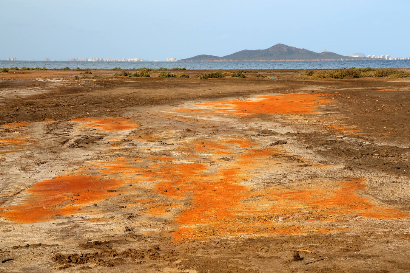Fotos: Estado del Mar Menor durante el nuevo episodio de mortandad de peces