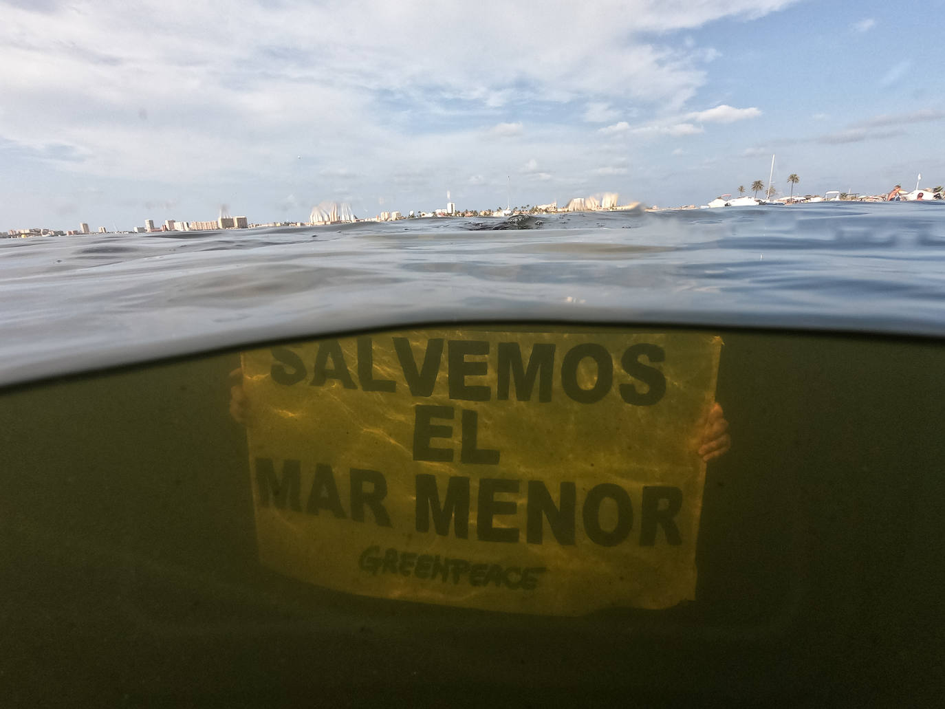 Fotos: Estado del Mar Menor durante el nuevo episodio de mortandad de peces