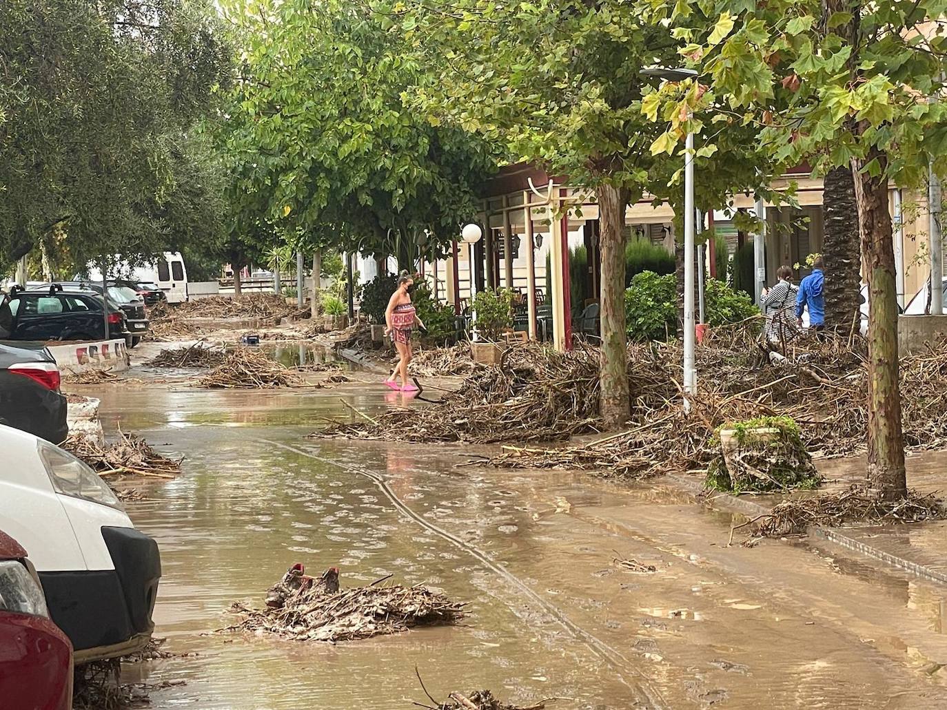 Fotos: Los efectos de la DANA en la Región