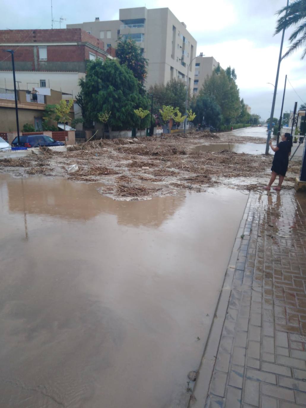 Fotos: Los efectos de la DANA en la Región