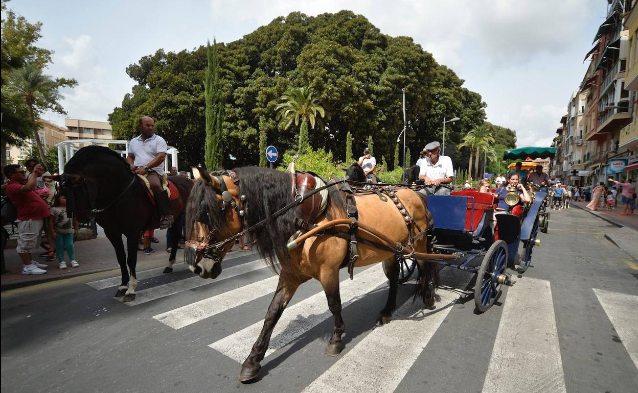 Desfile del Día del caballo en Murcia, en 2019. 