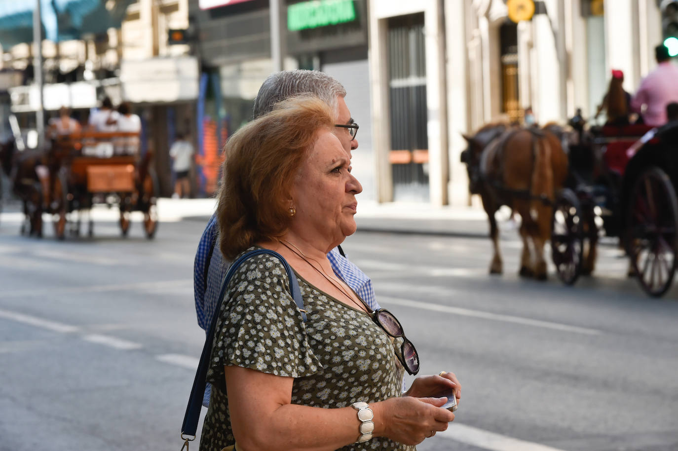Fotos: Caballos y carretas toman Murcia