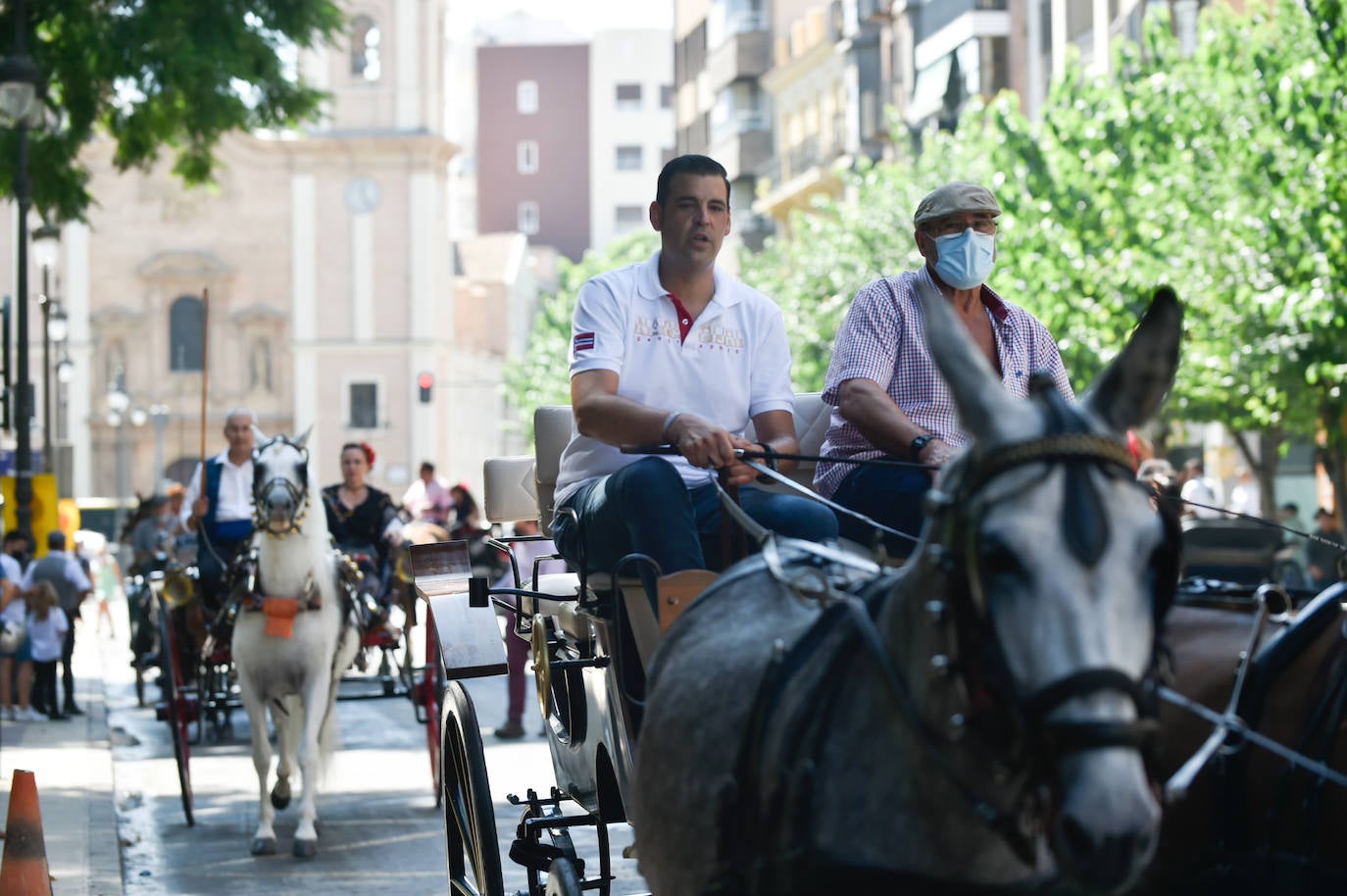 Fotos: Caballos y carretas toman Murcia