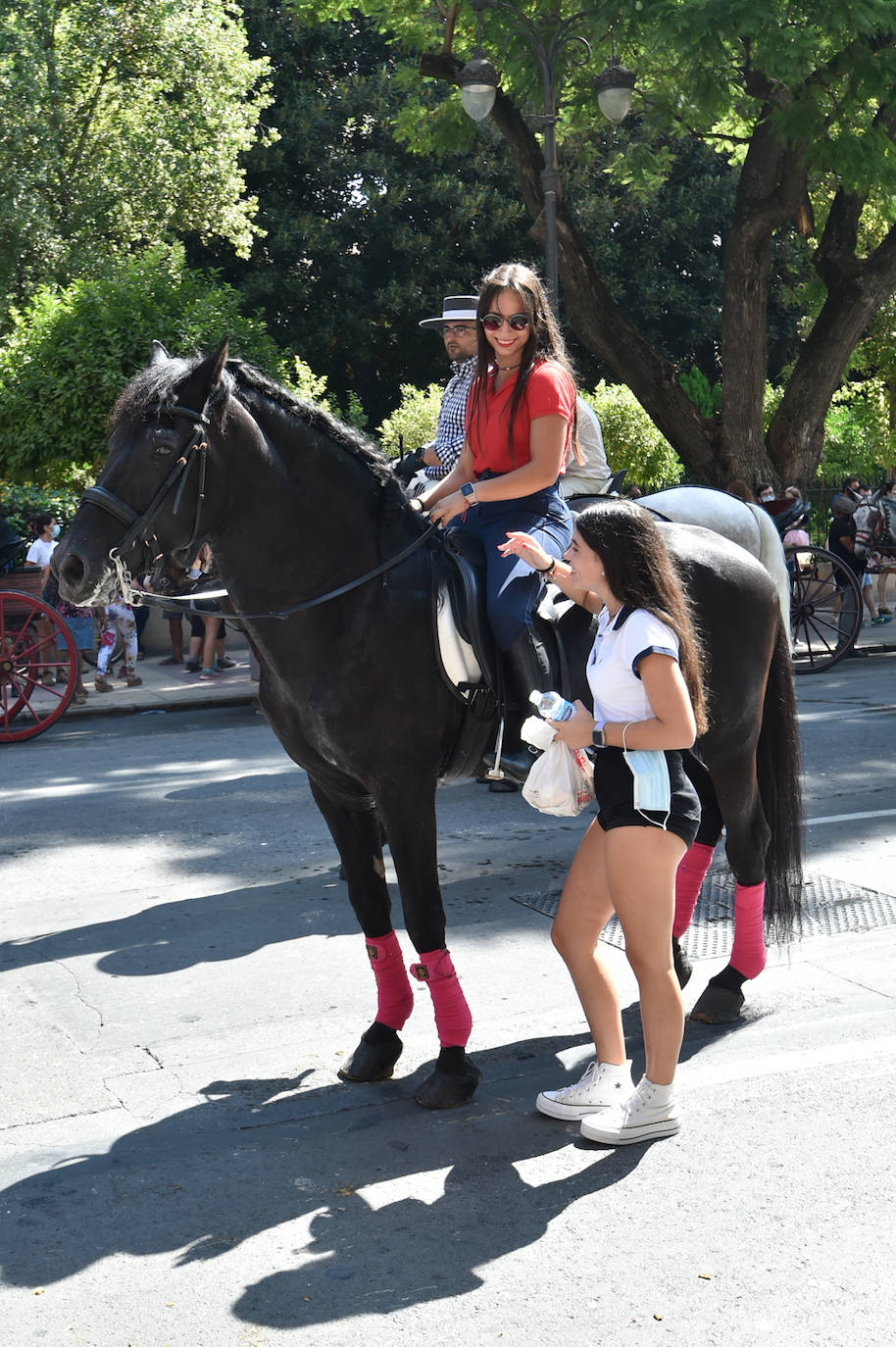 Fotos: Caballos y carretas toman Murcia