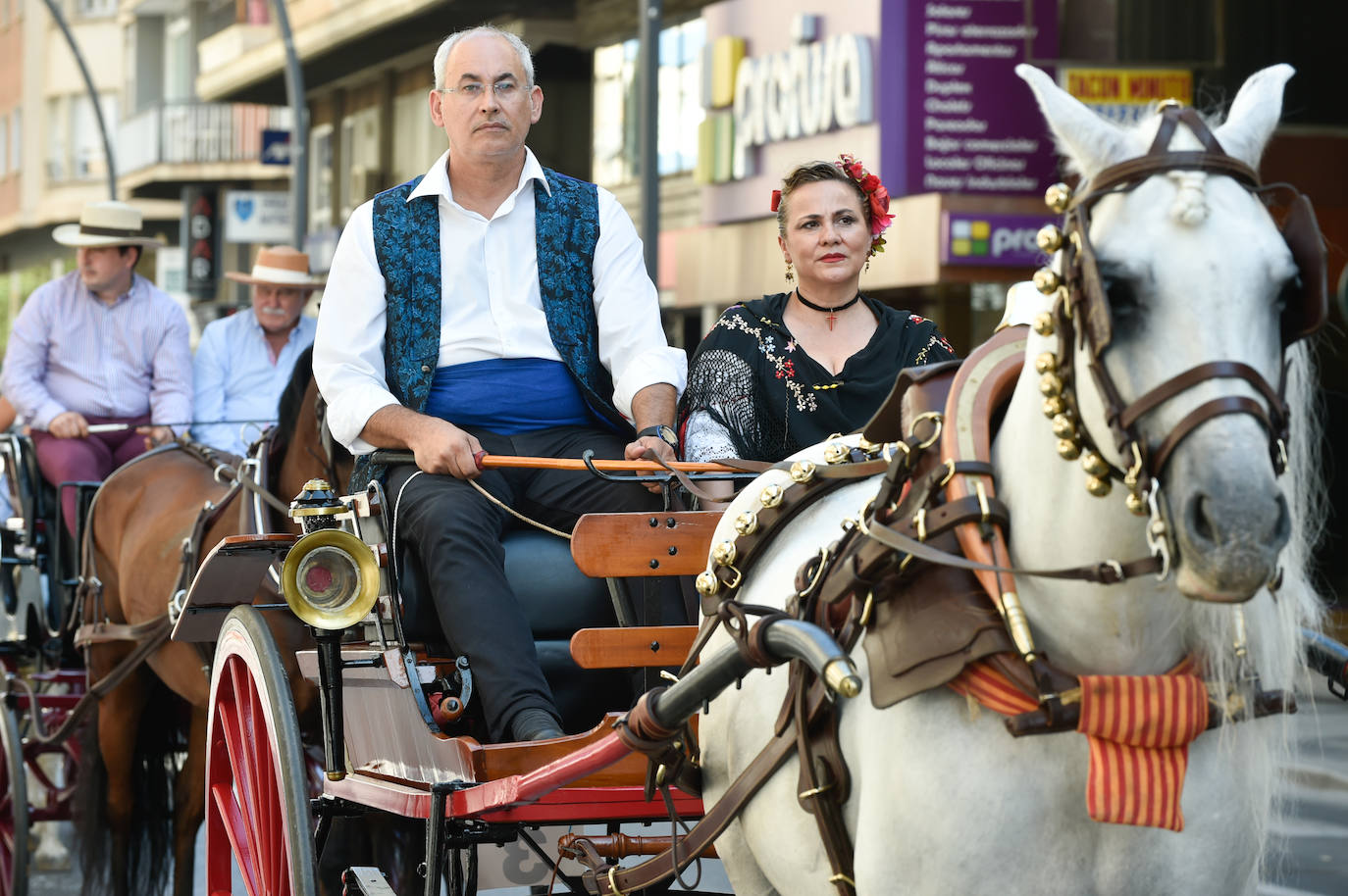 Fotos: Caballos y carretas toman Murcia