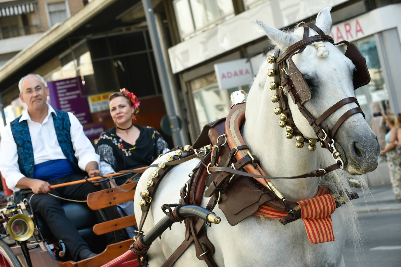 Fotos: Caballos y carretas toman Murcia