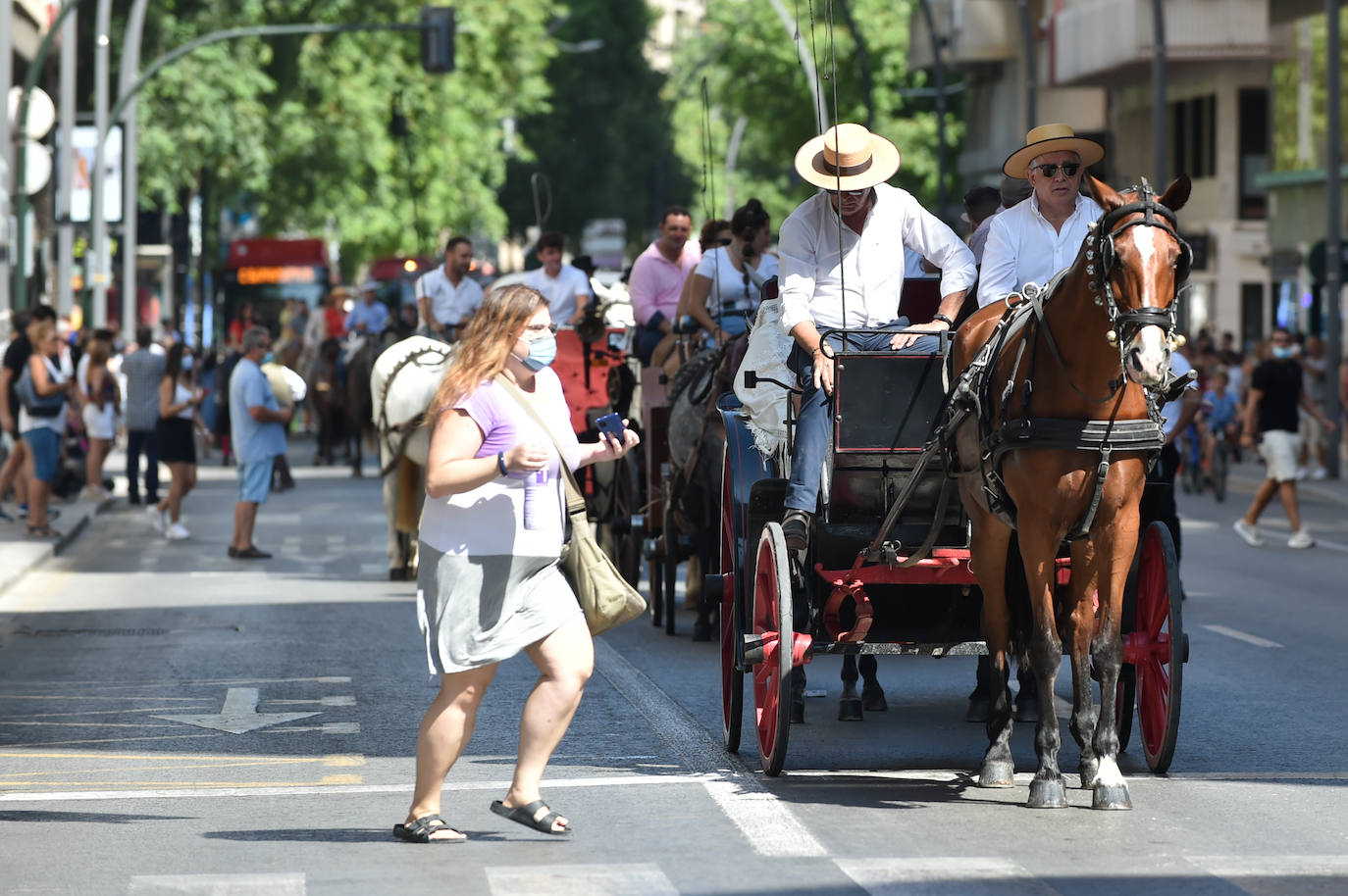 Fotos: Caballos y carretas toman Murcia