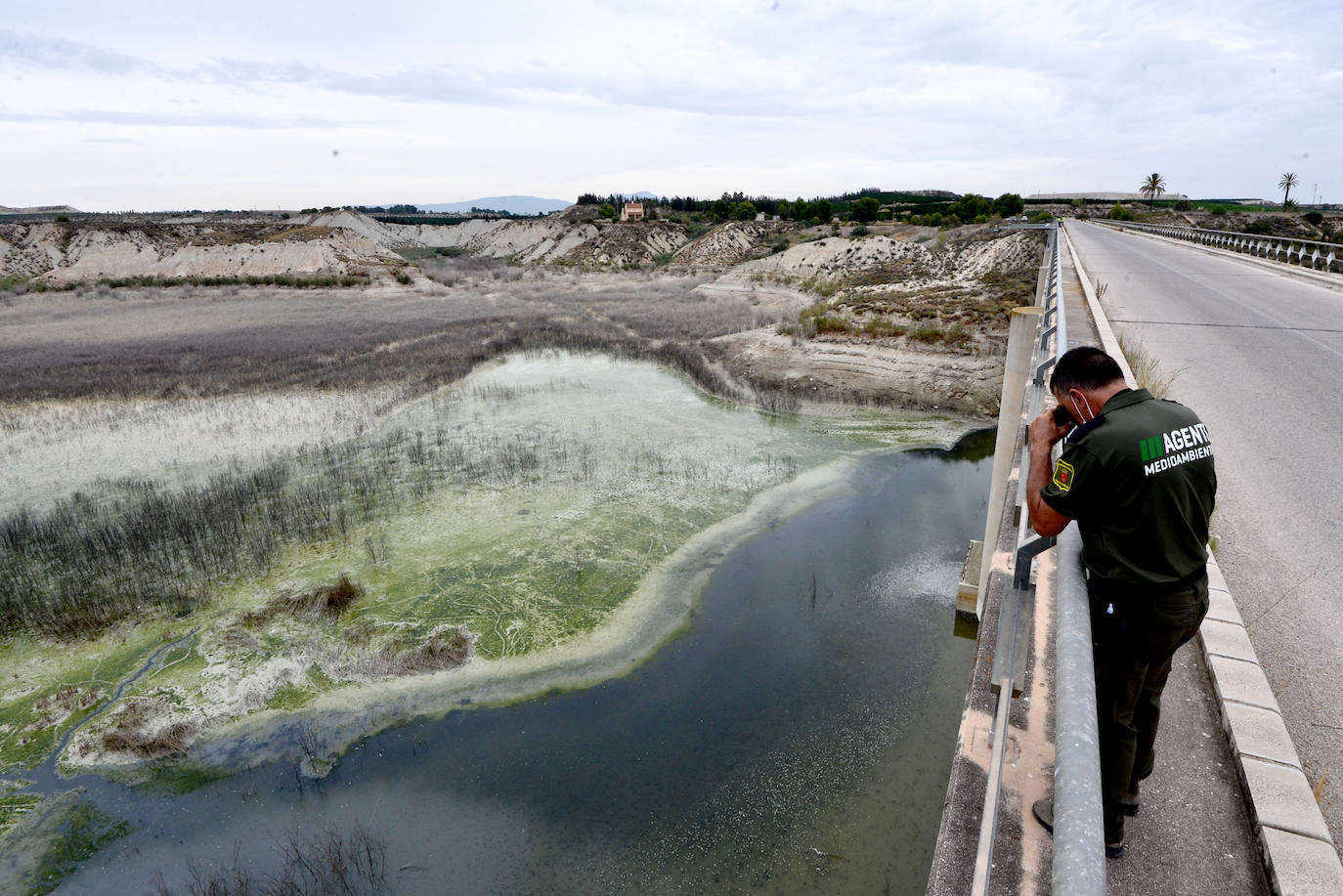 Fotos: Mueren miles de peces en el embalse de Los Rodeos