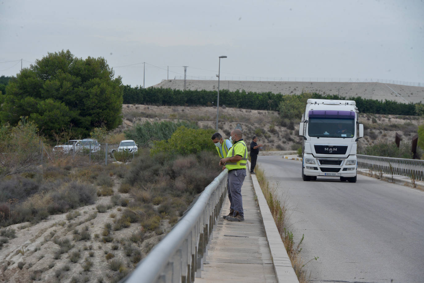 Fotos: Mueren miles de peces en el embalse de Los Rodeos
