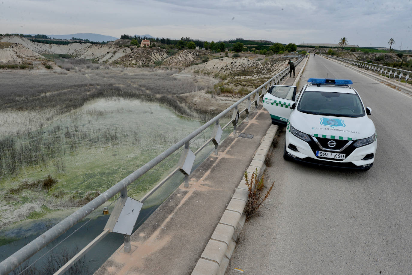 Fotos: Mueren miles de peces en el embalse de Los Rodeos