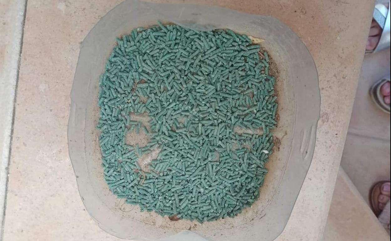 El veneno encotnrado en las calles de Pliego para acabar con la vida de los gatos.