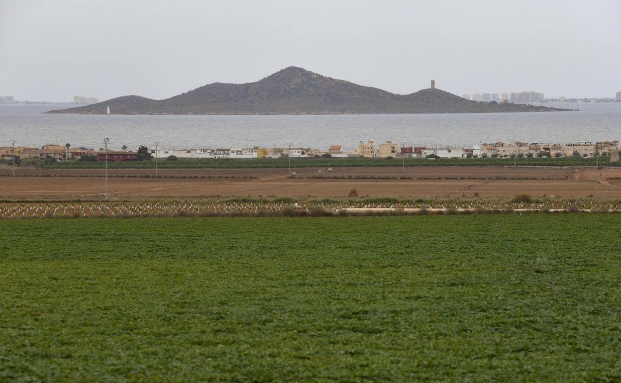 Terrenos de cultivo ubicados en el entorno del Mar Menor. 