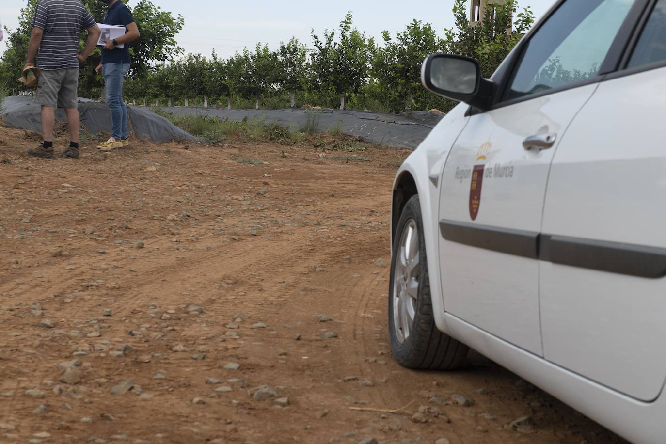Fotos: Cultivos bajo control en la zona del Mar Menor