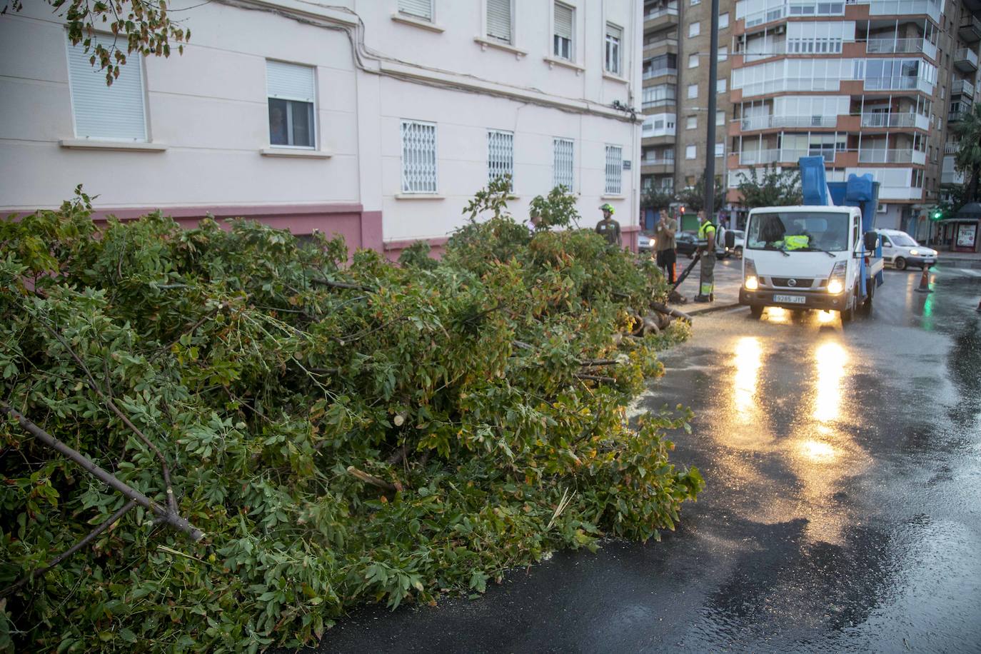 Fotos: Un fuerte aguacero derriba árboles y anega calles en Cartagena