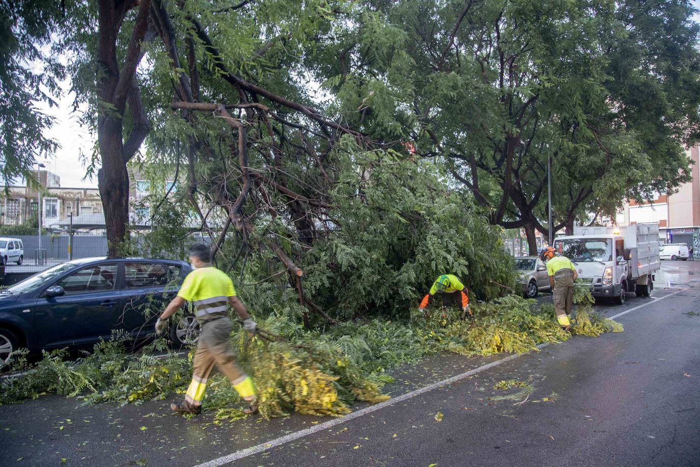 Fotos: Un fuerte aguacero derriba árboles y anega calles en Cartagena