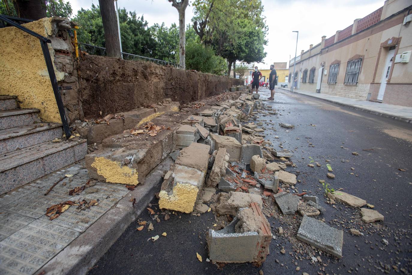 Fotos: Un fuerte aguacero derriba árboles y anega calles en Cartagena