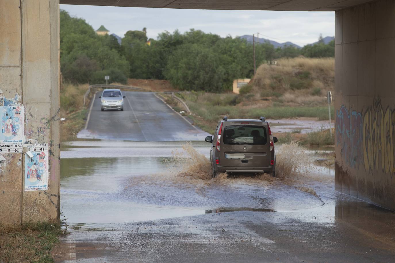 Fotos: Un fuerte aguacero derriba árboles y anega calles en Cartagena