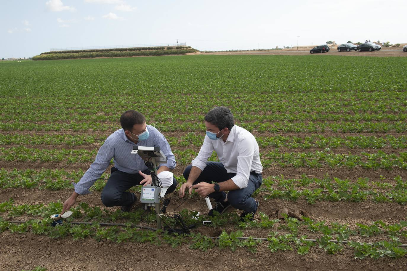 Fotos: Más de 200 sondas controlan el riego para reducir el impacto en el Mar Menor