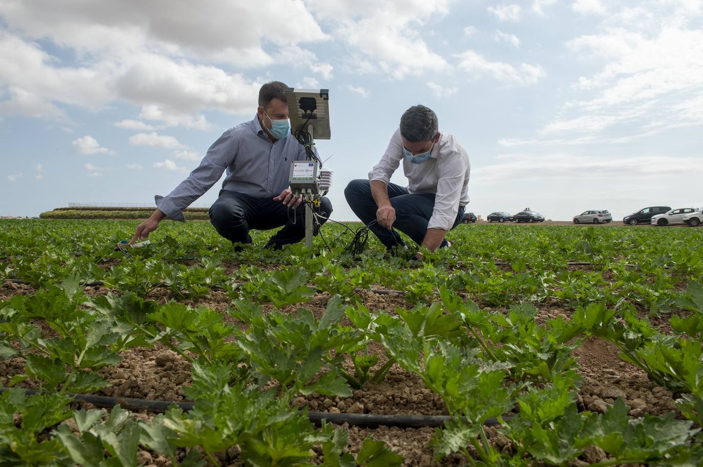 Fotos: Más de 200 sondas controlan el riego para reducir el impacto en el Mar Menor