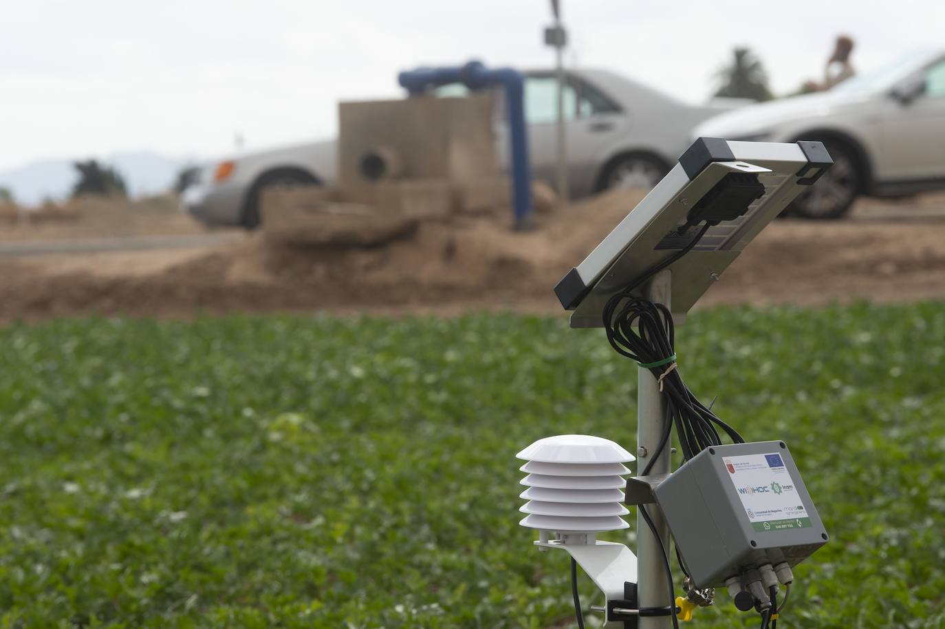 Fotos: Más de 200 sondas controlan el riego para reducir el impacto en el Mar Menor