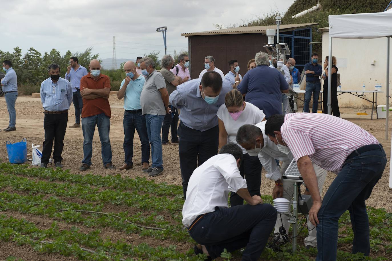 Fotos: Más de 200 sondas controlan el riego para reducir el impacto en el Mar Menor
