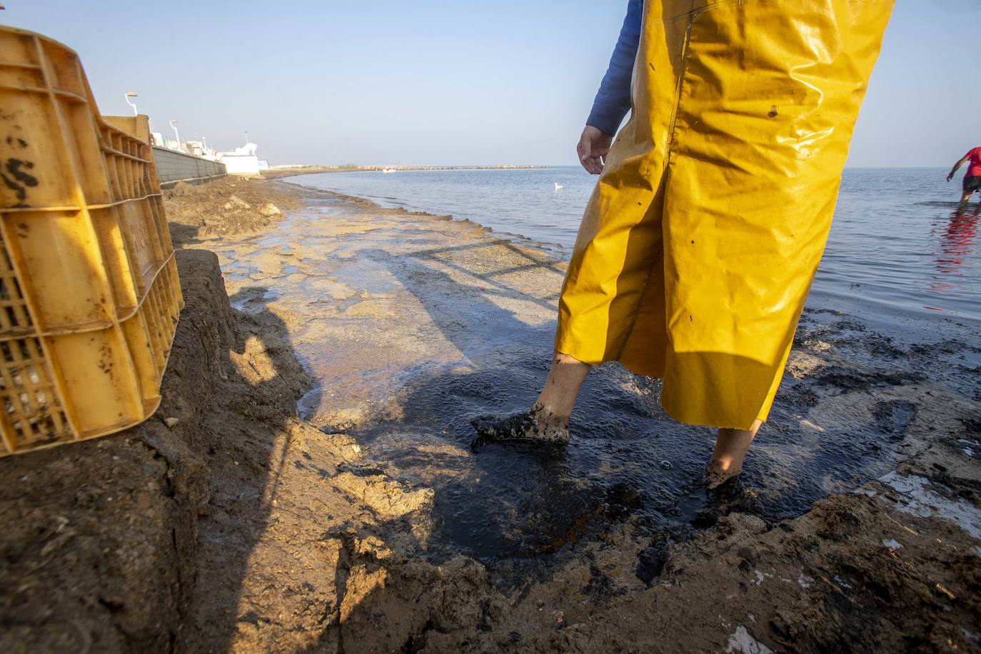 Fotos: La anoxia del Mar Menor que se sufre en tierra