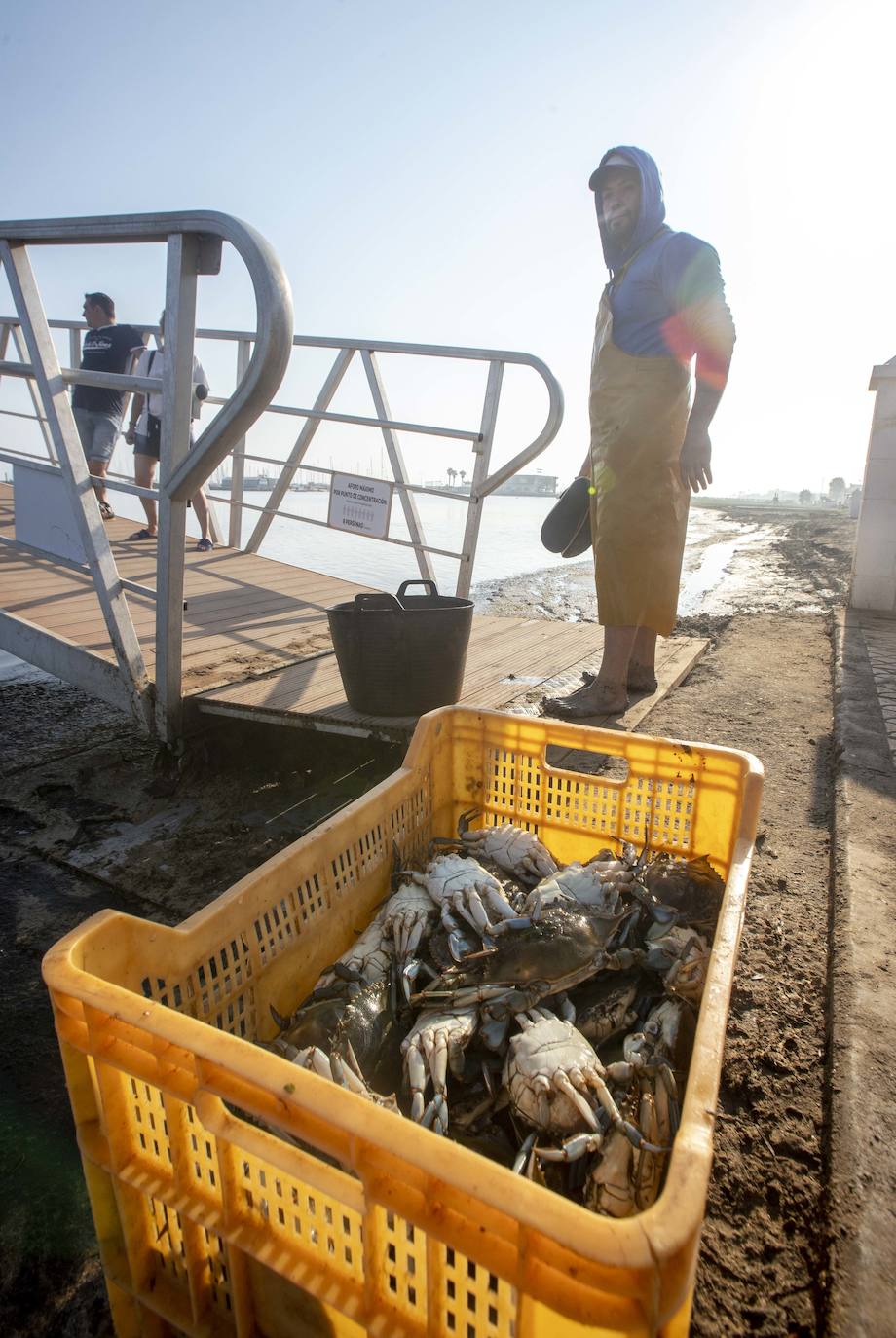 Fotos: La anoxia del Mar Menor que se sufre en tierra