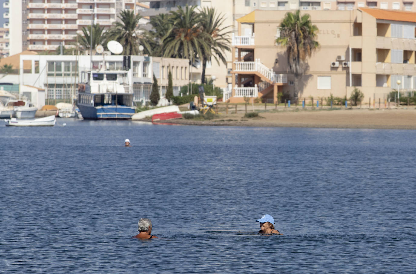 Fotos: La anoxia del Mar Menor que se sufre en tierra