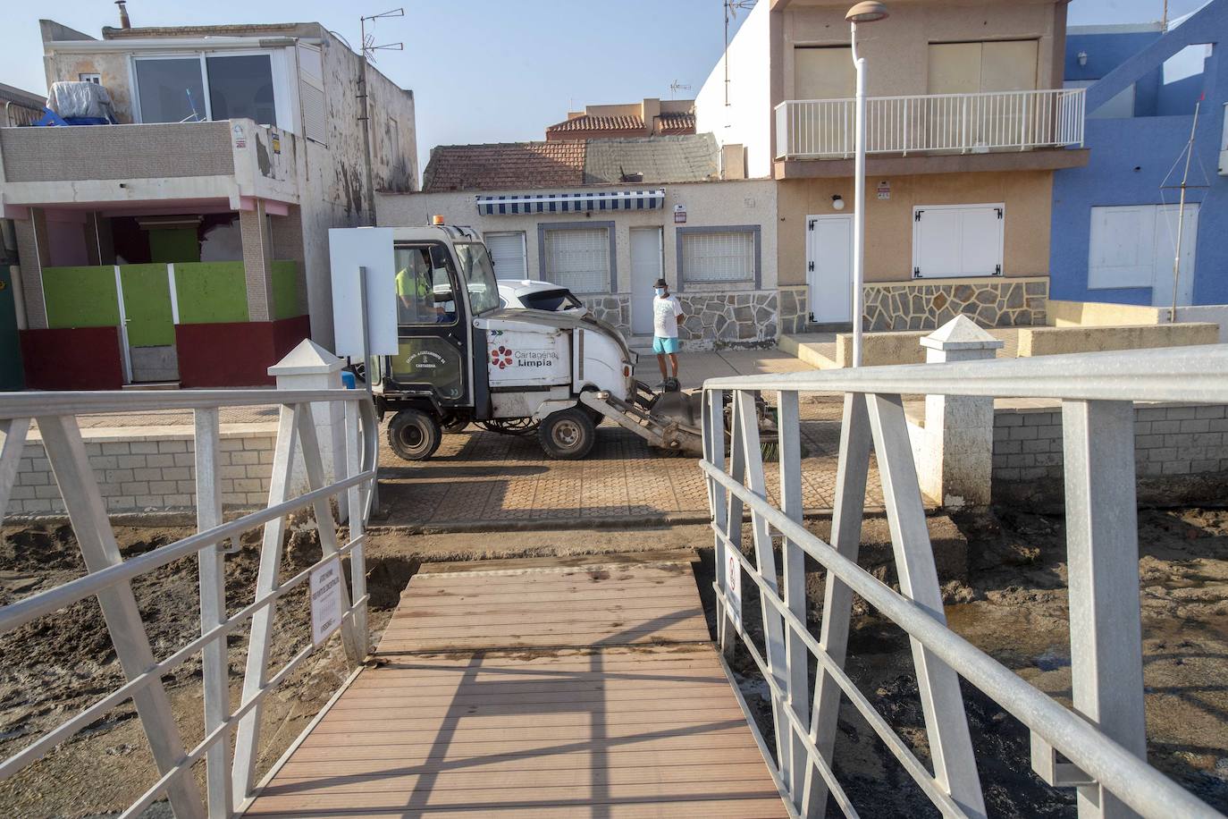 Fotos: La anoxia del Mar Menor que se sufre en tierra