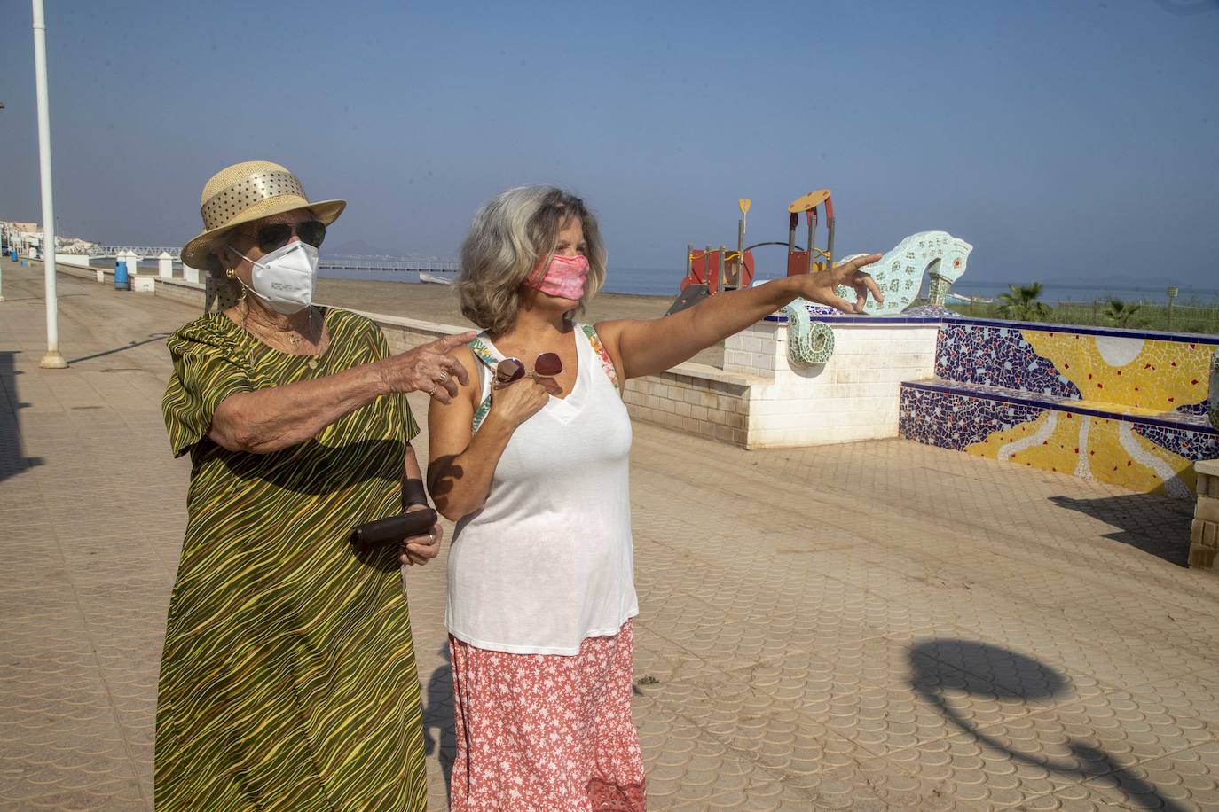 Fotos: La anoxia del Mar Menor que se sufre en tierra