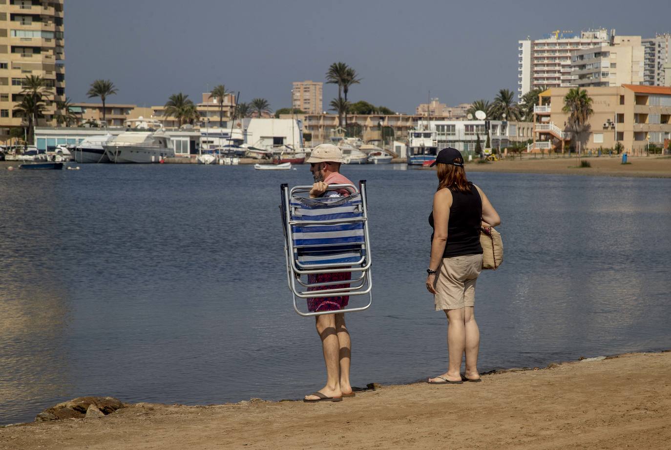 Fotos: La anoxia del Mar Menor que se sufre en tierra