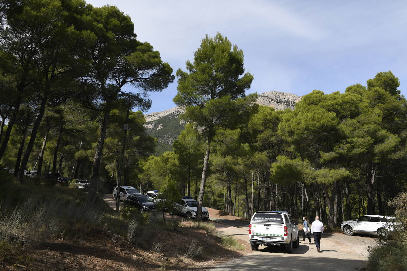 Fotos: La Región celebra el Día Internacional de los Bosques