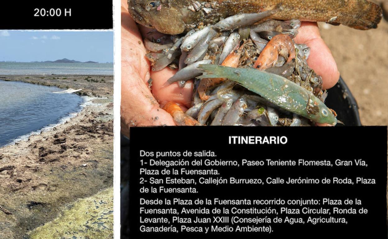 Cartel de la manifestación en Murcia. 