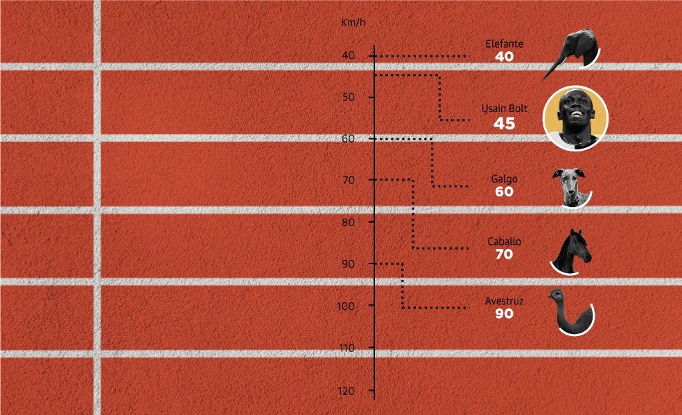 Scroll Story imagen 10