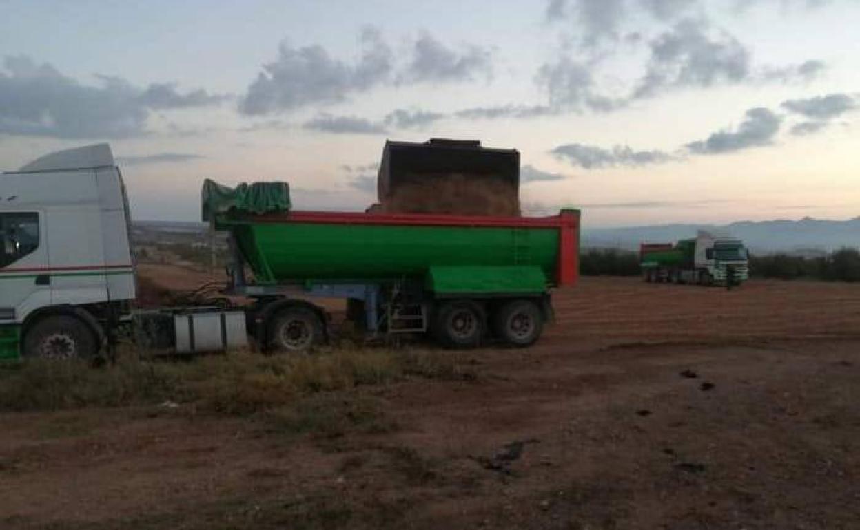 Obras para instalar una granja de cerdos en Mazarrón.